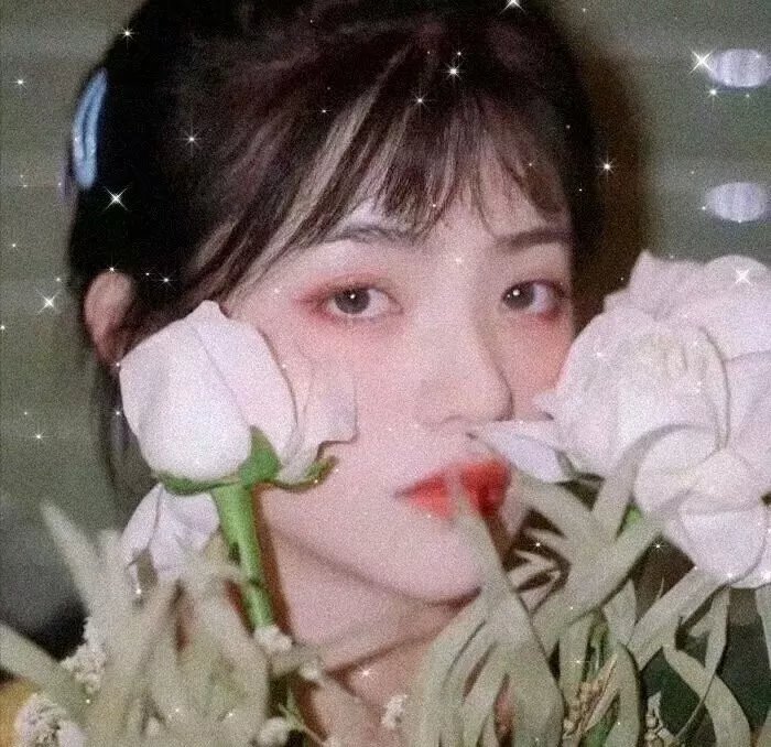 沉睡蝴蝶